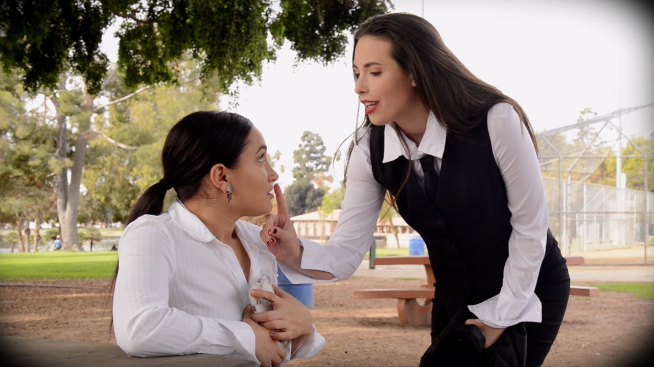 Casey Calvert and Gabriella Paltrova in the Secretary and the Stewardess